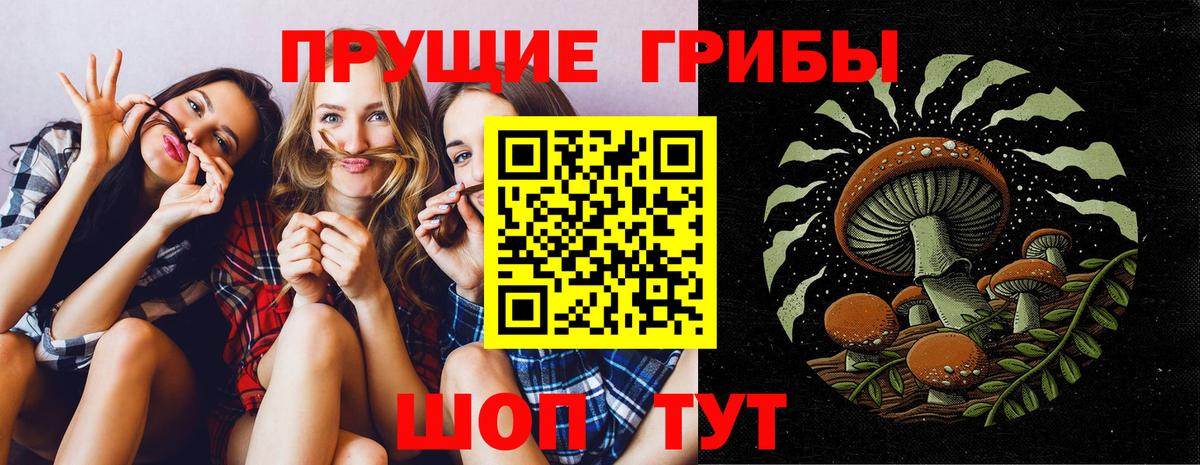 Галлюциногенные грибы MAGIC MUSHROOMS  Вход с VPN  Калининград  где купить   Псилоцибиновые грибы Cubensis 